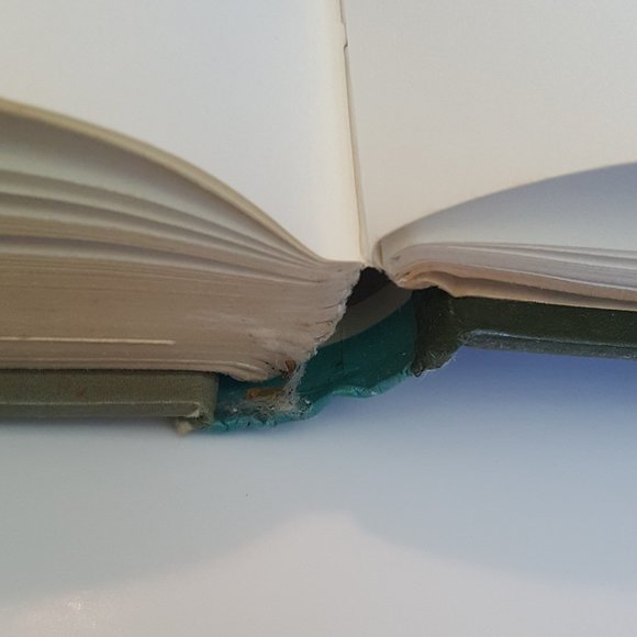 Guinness World Records Southern African Edition 1973 - Picture 6 of 10